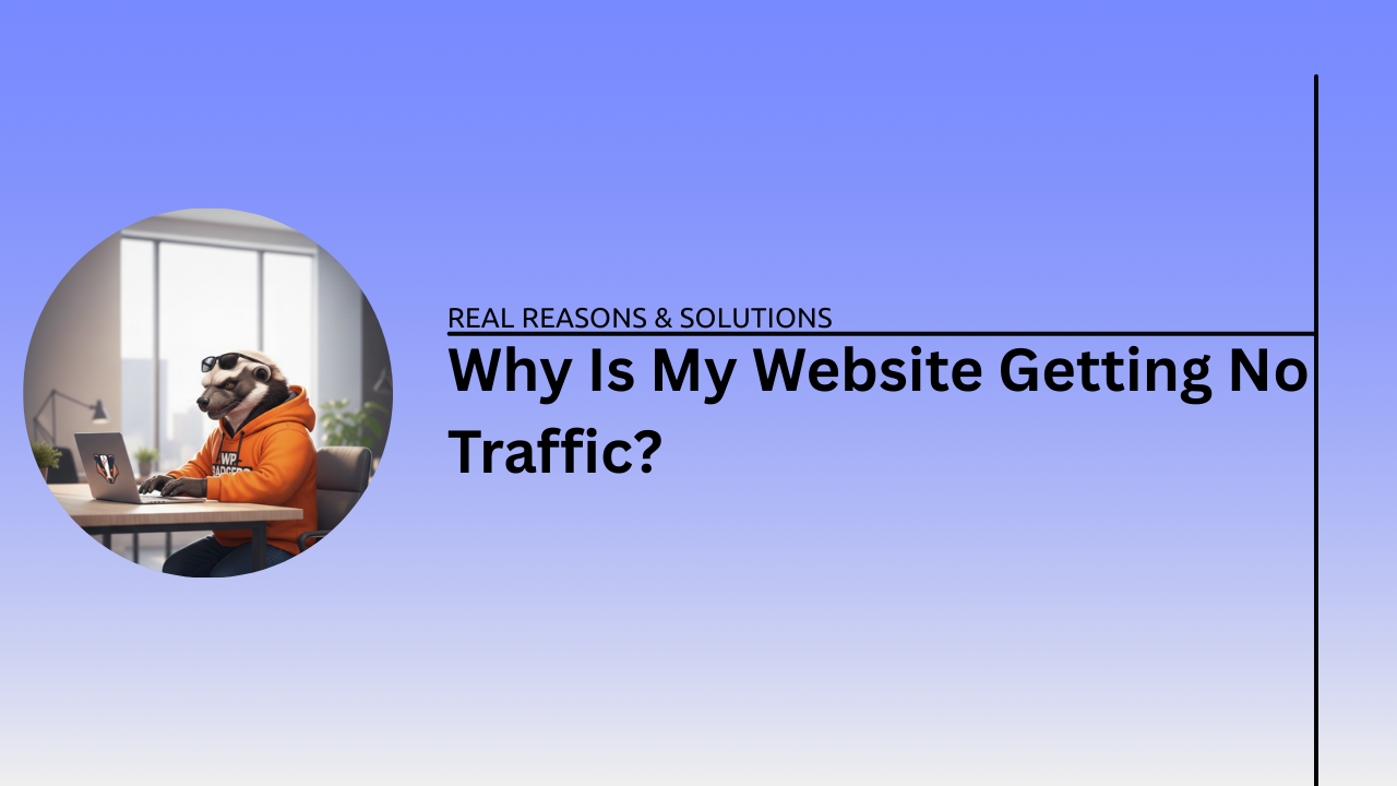 Why Is My Website Getting No Traffic